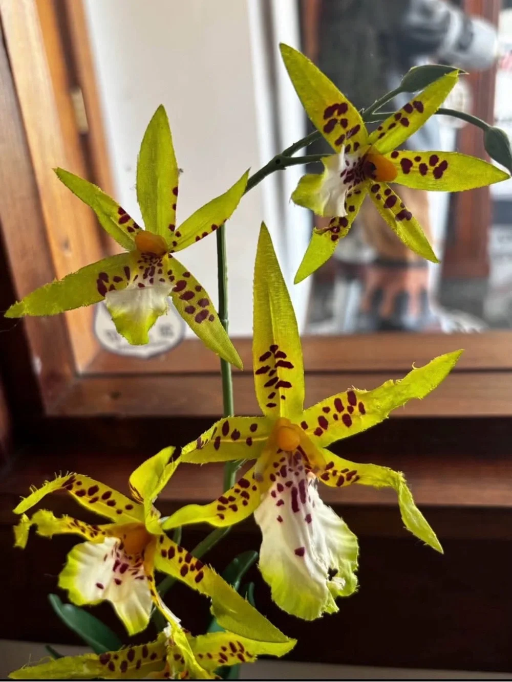 Exo Terra Spider Orchid Fake Plant Reptile Tank Decor